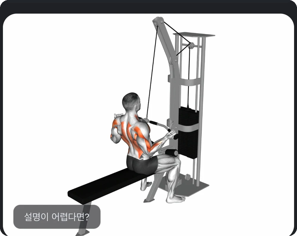 운동 시연 영상과 자세 설명