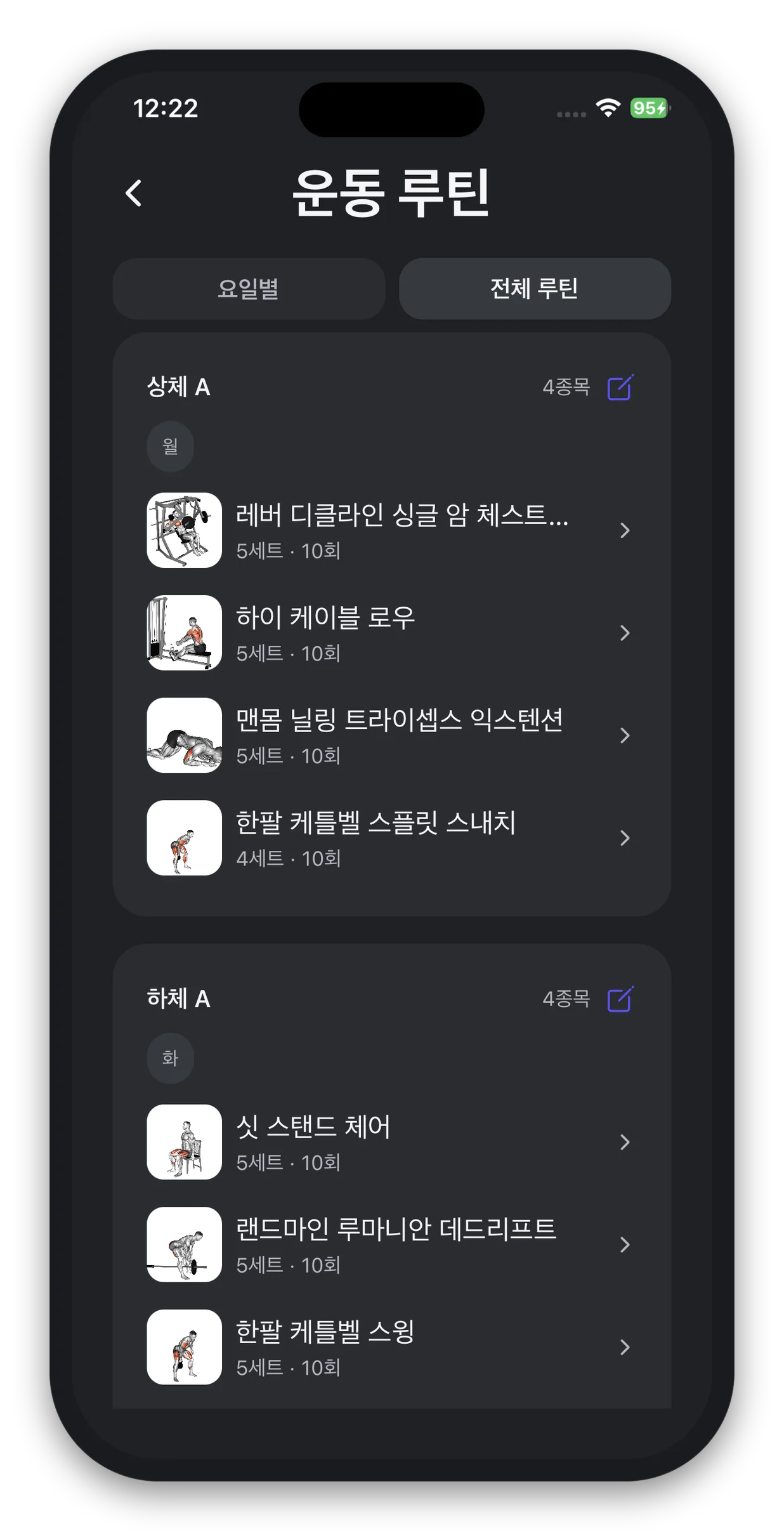 요일별로 짜인 한 주 운동 루틴 화면